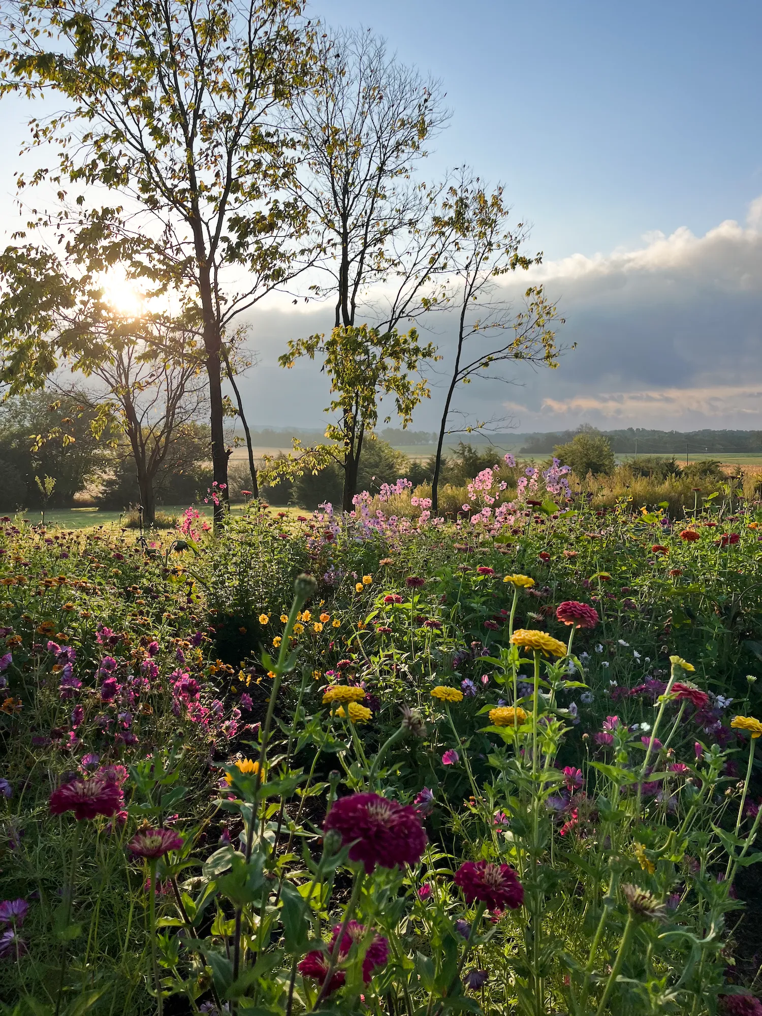 Planted Seeds Farm